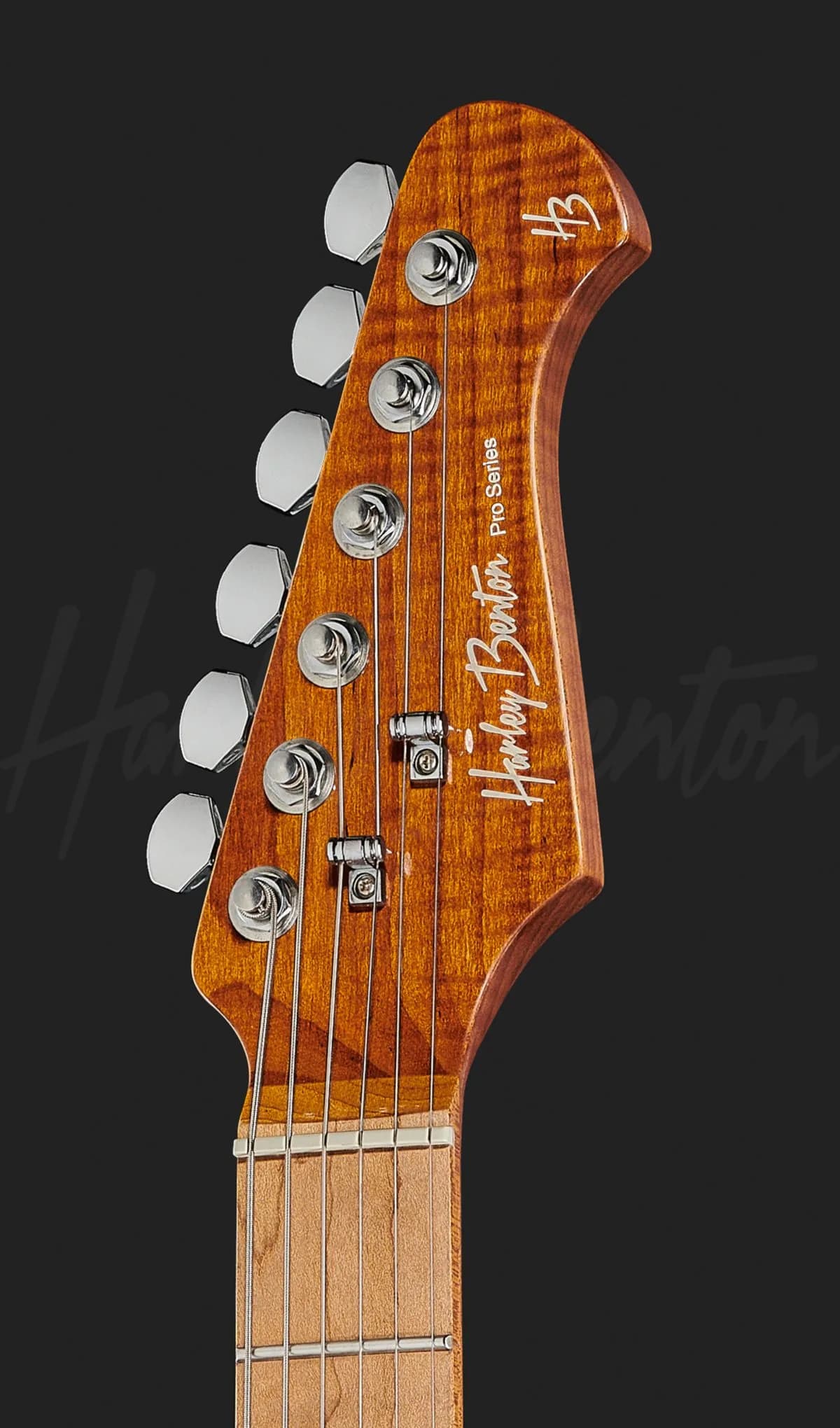 Harley Benton Fusion-III HSS Roasted FNT — photo 6