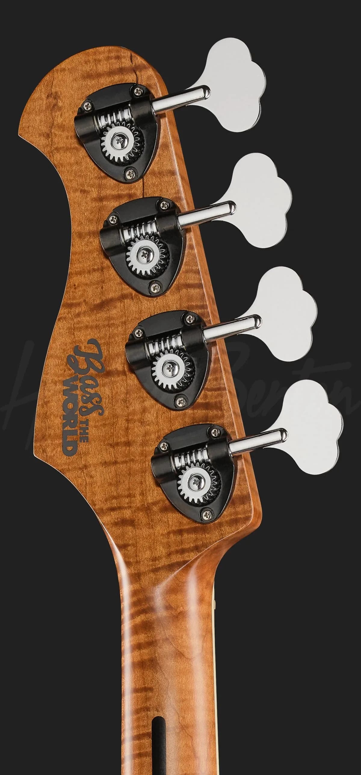 Harley Benton MV-4JB Plus BassTheWorld — photo 7