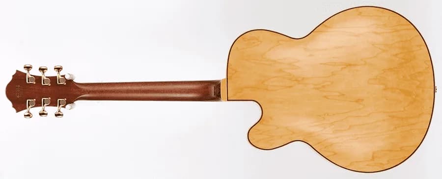 Ibanez PM200 — photo 5
