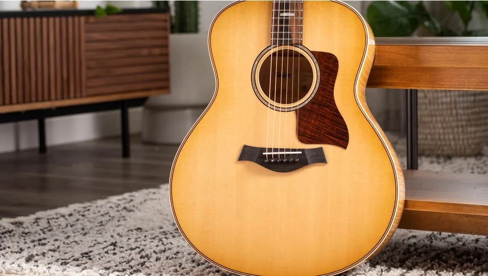 Taylor 618e — photo 7