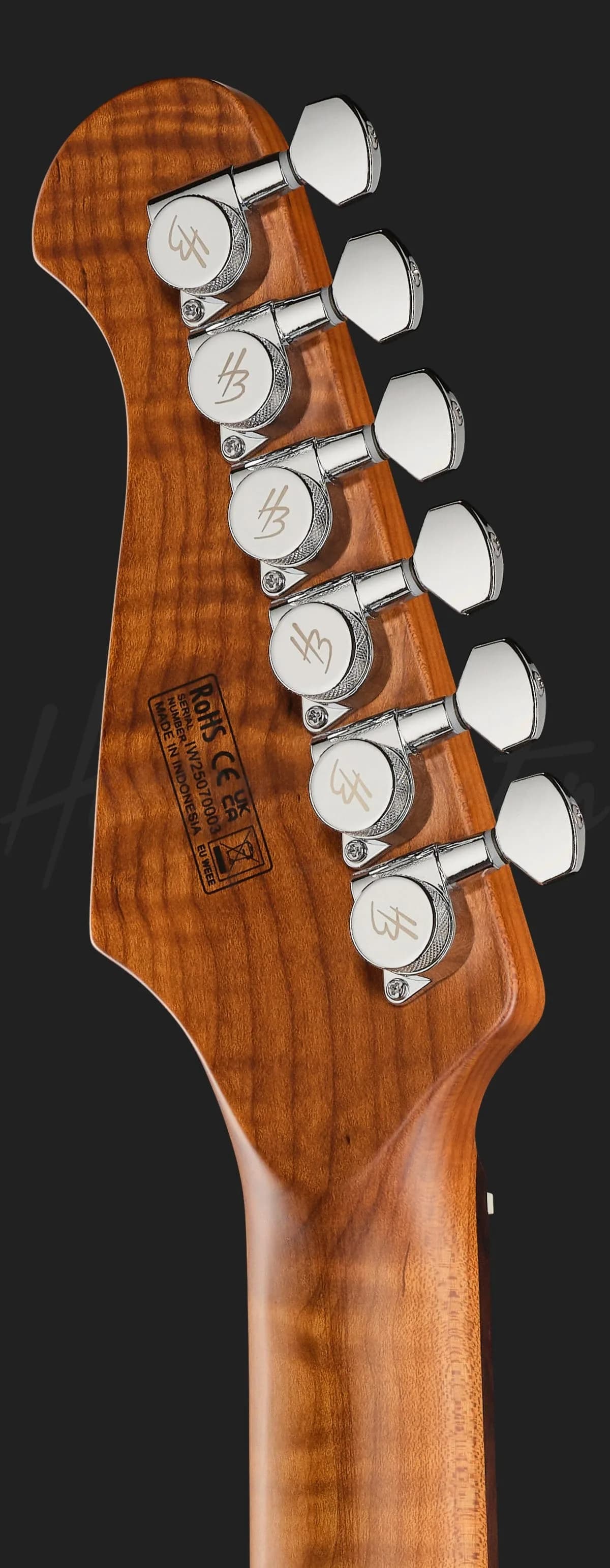 Harley Benton Fusion-IV HSH RW SGR — photo 7