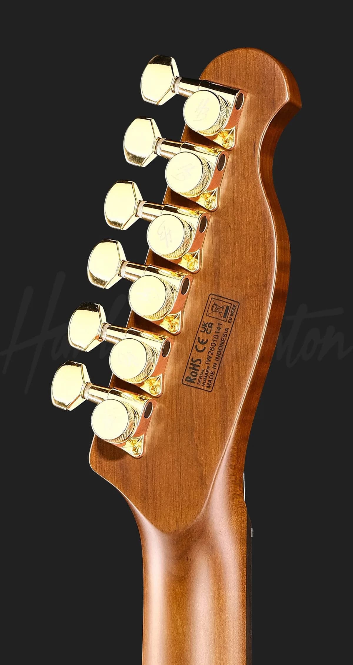 Harley Benton Fusion-T II HH LH RW HT FBB — photo 7