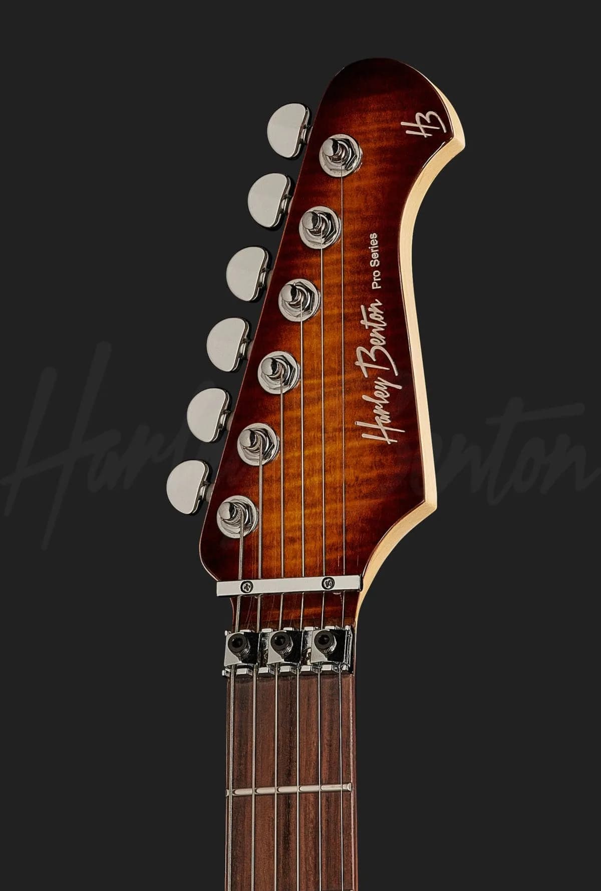 Harley Benton Fusion-III HH FR EB FBB — photo 6