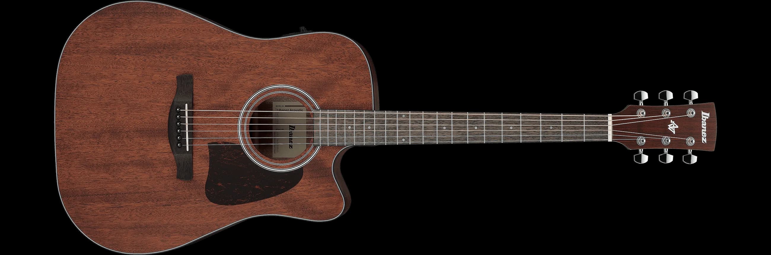 Ibanez AW54CE