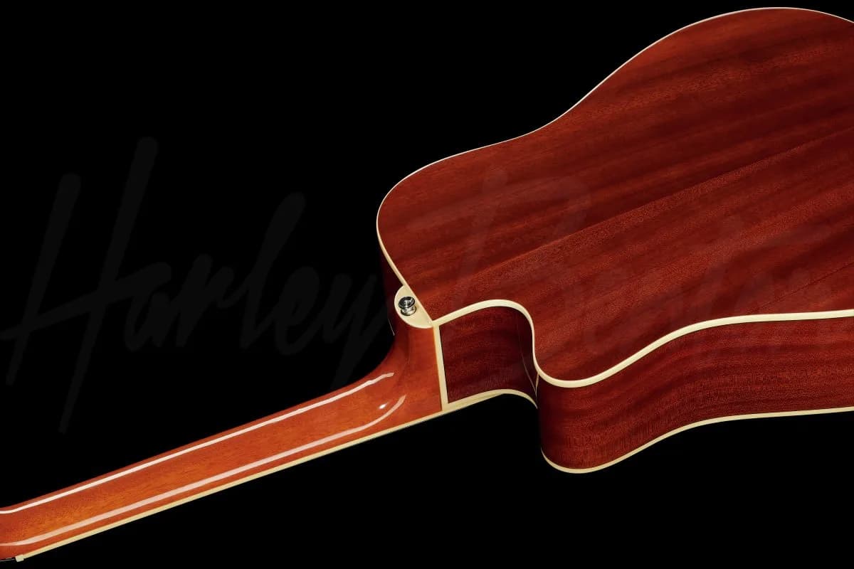 Harley Benton D-200CE-12 NT — photo 8