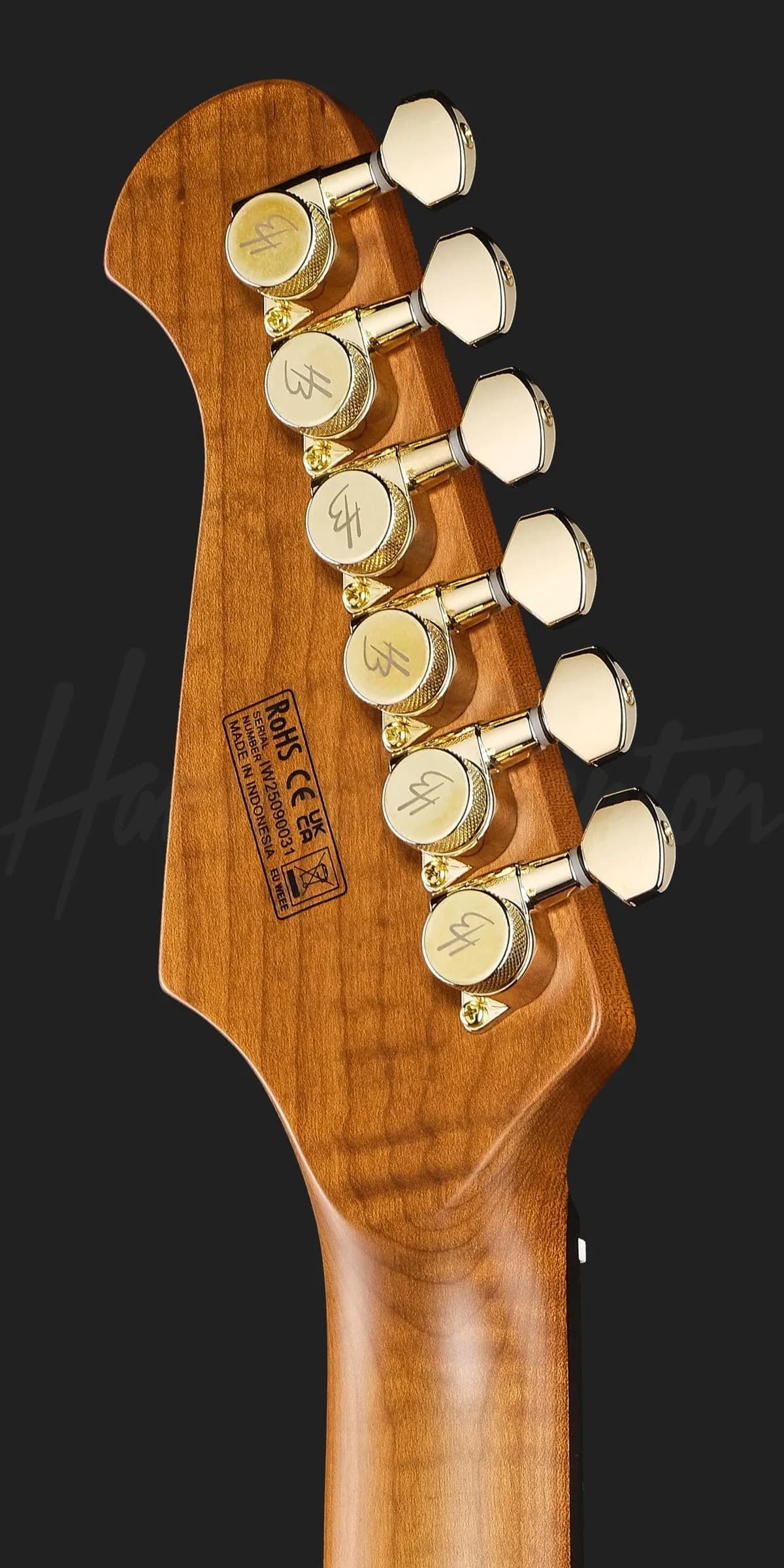 Harley Benton Fusion-IV HSS RW SGD — photo 7