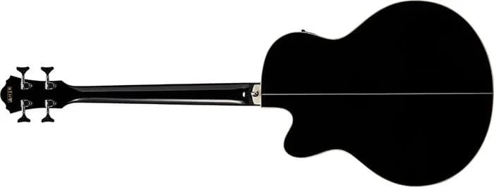 Ibanez AEB8E — photo 5