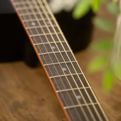 Cort Standard AD810 — photo 5
