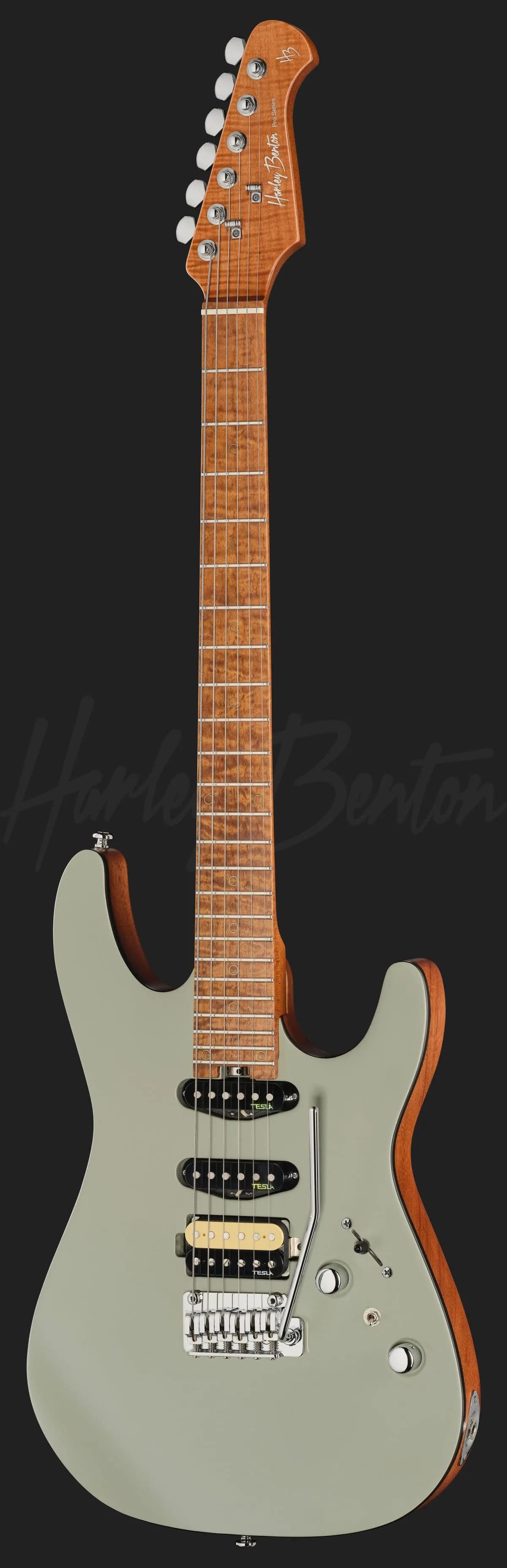 Harley Benton Fusion-IV HSS MN SGR — photo 2