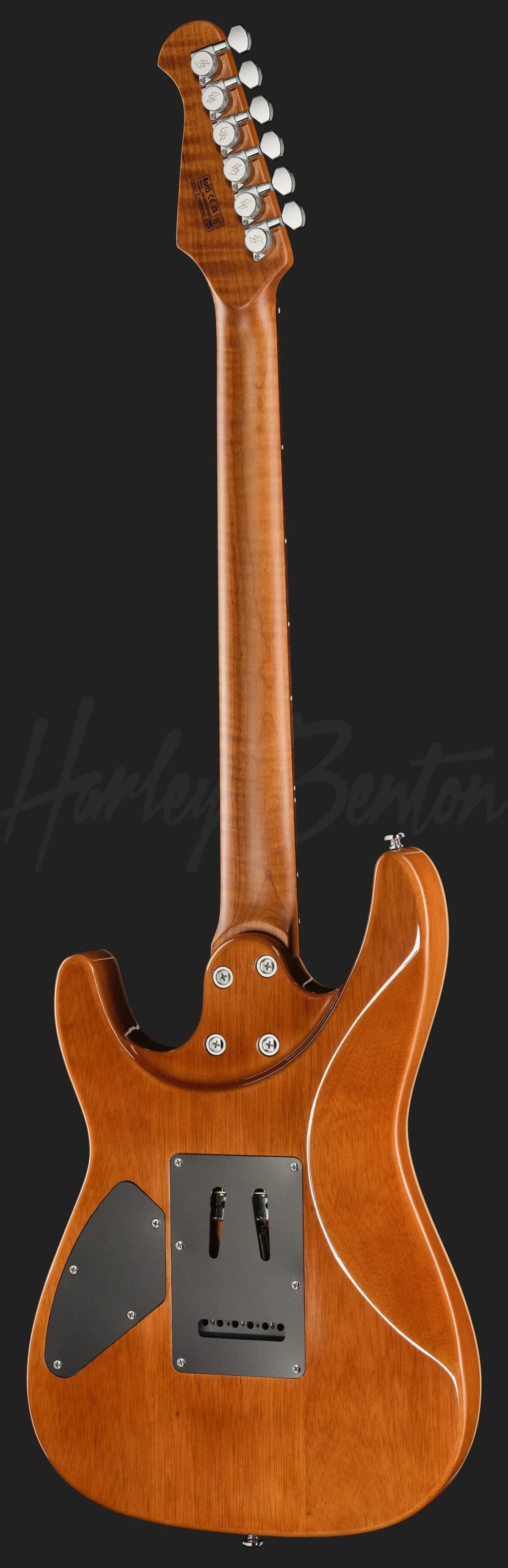 Harley Benton Fusion-IV HSS RW FNT — photo 3