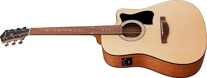 Ibanez V40CE — photo 4