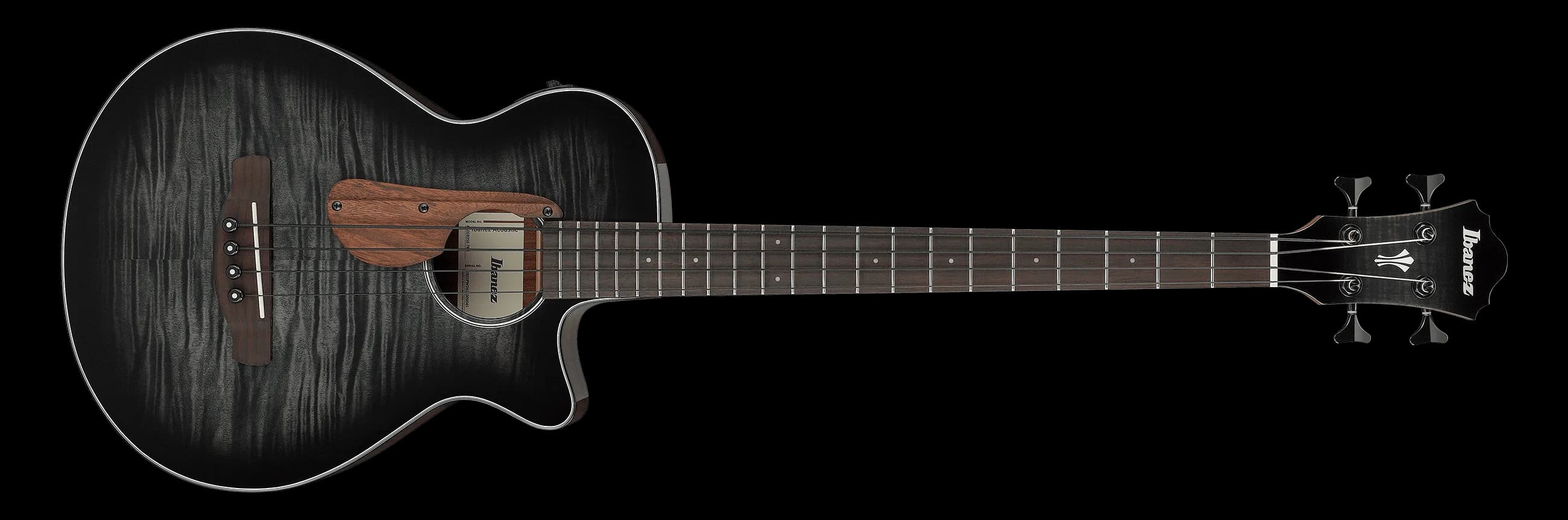 Ibanez AEGB25E