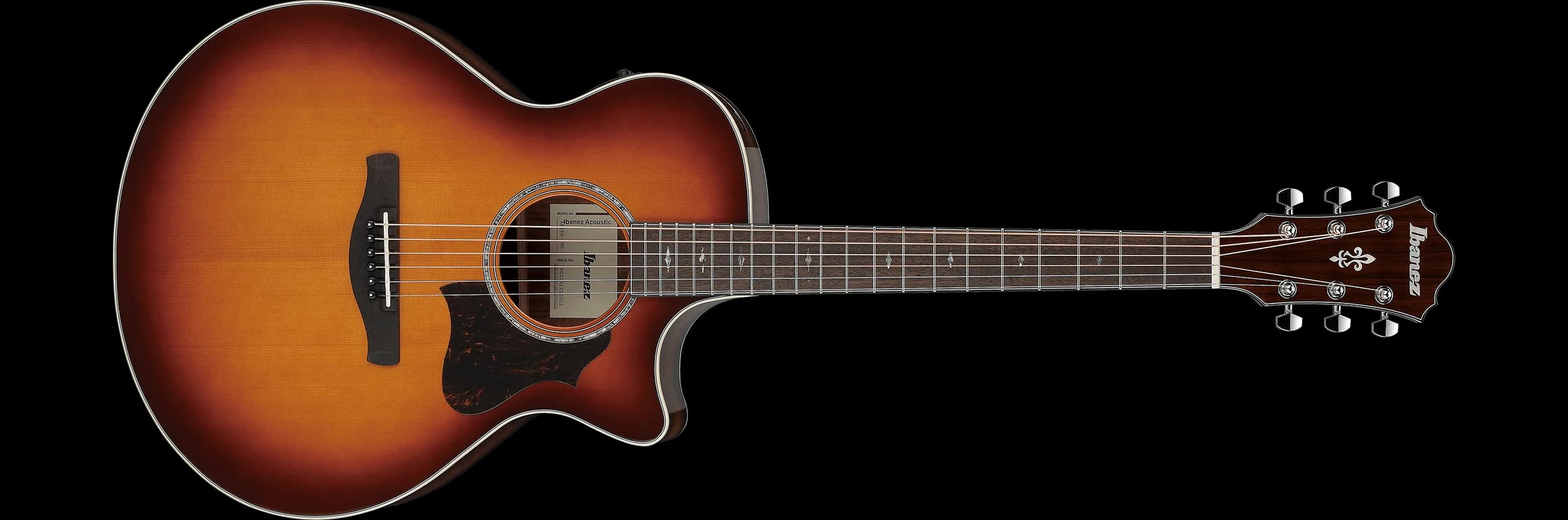 Ibanez AE160