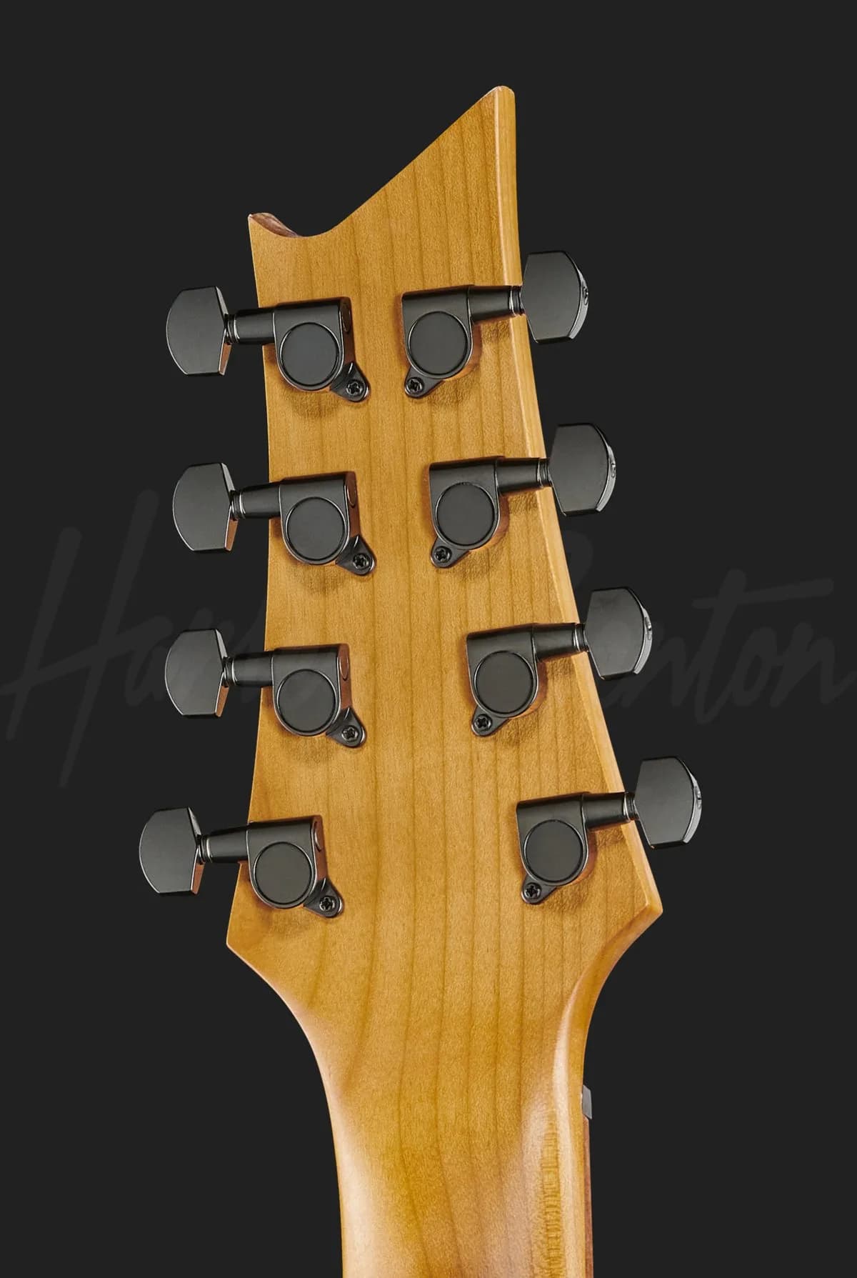 Harley Benton R-458FFB Roasted MultiScale — photo 7