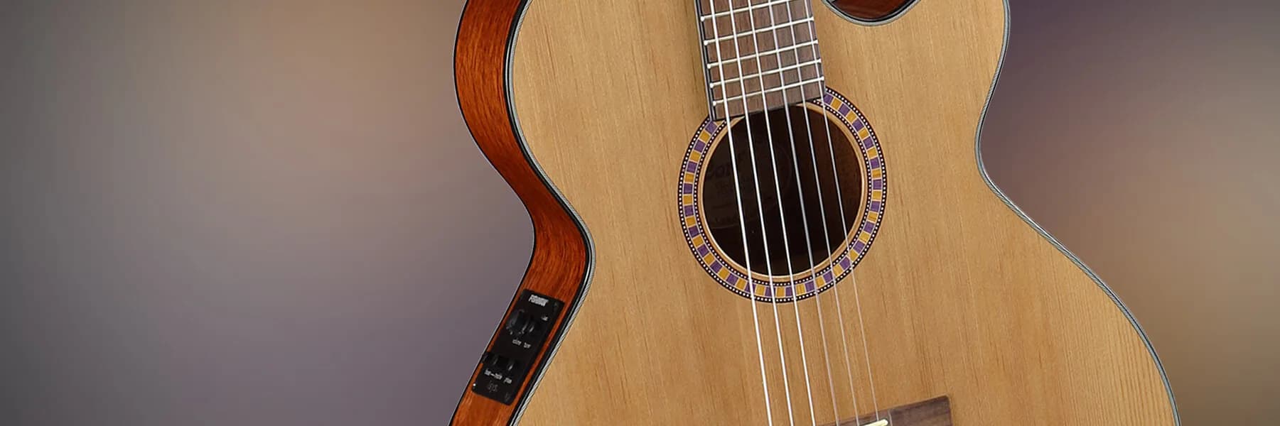 Cort Classic CEC5