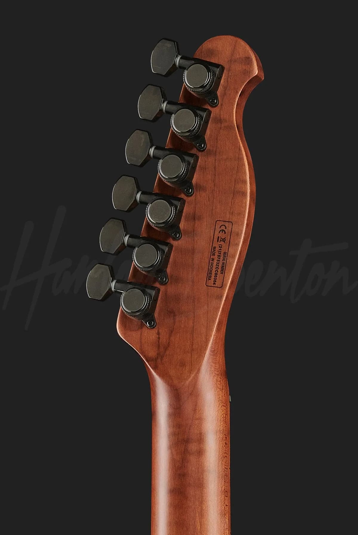 Harley Benton Fusion-T EMG HT Roasted SBK — photo 7