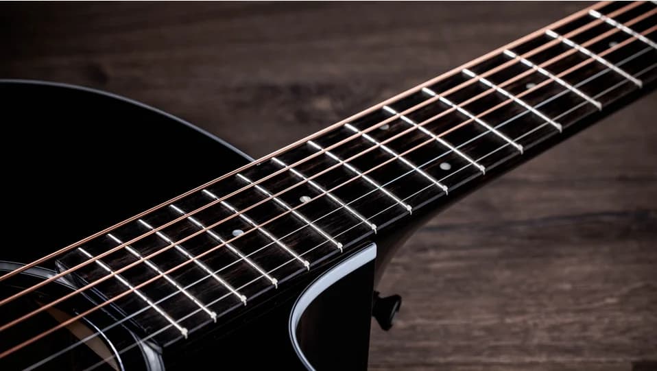 Taylor 214ce-BLK Plus — photo 7