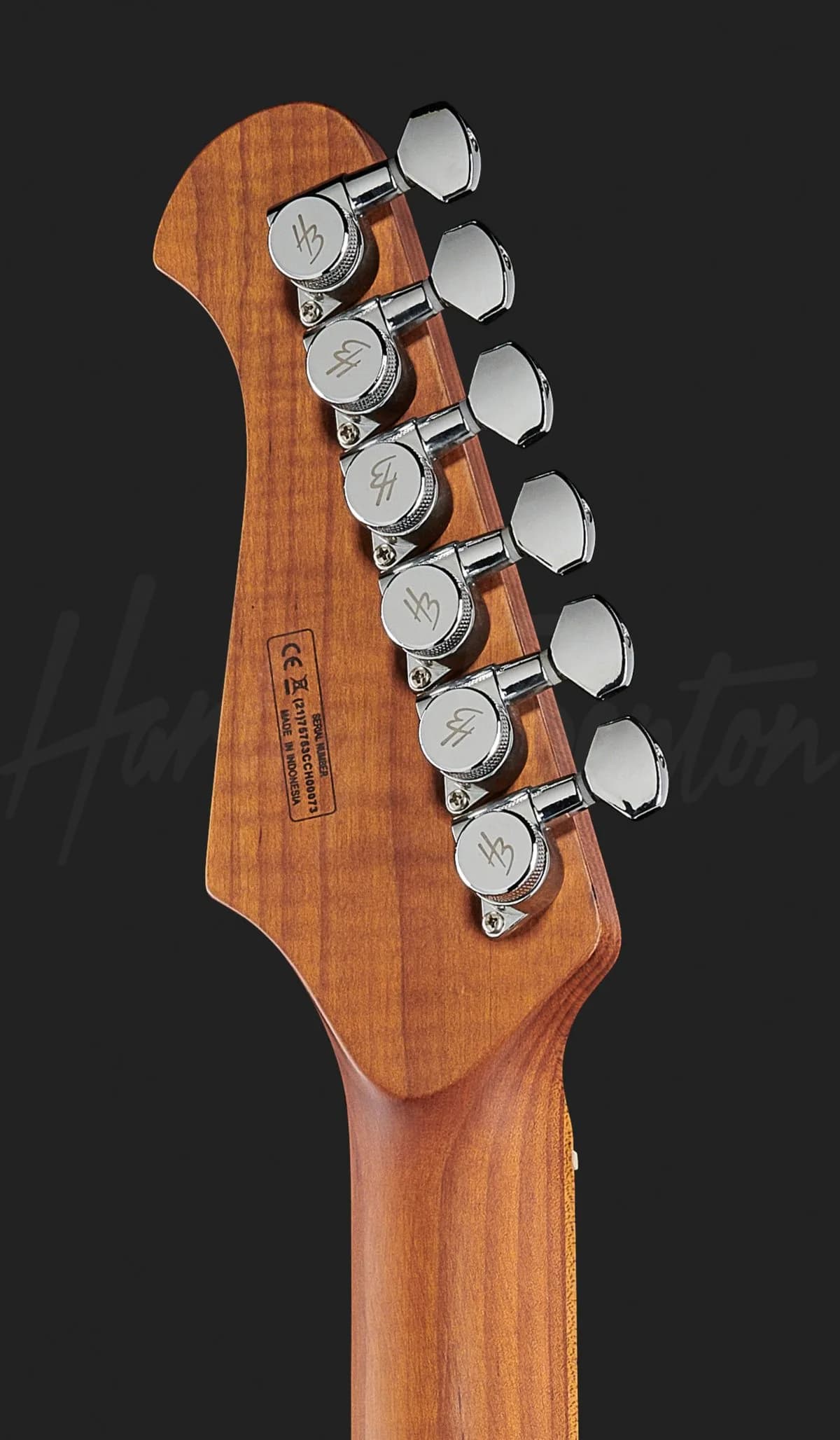 Harley Benton Fusion-III HSS Roasted FNT — photo 7