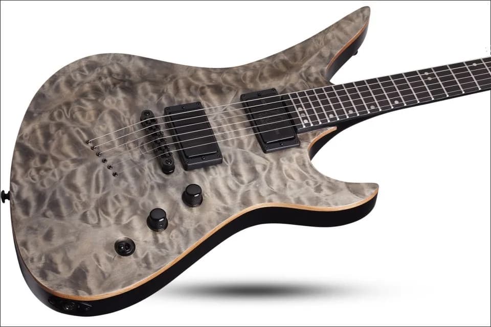 Schecter Avenger 40th Anniversary — photo 4