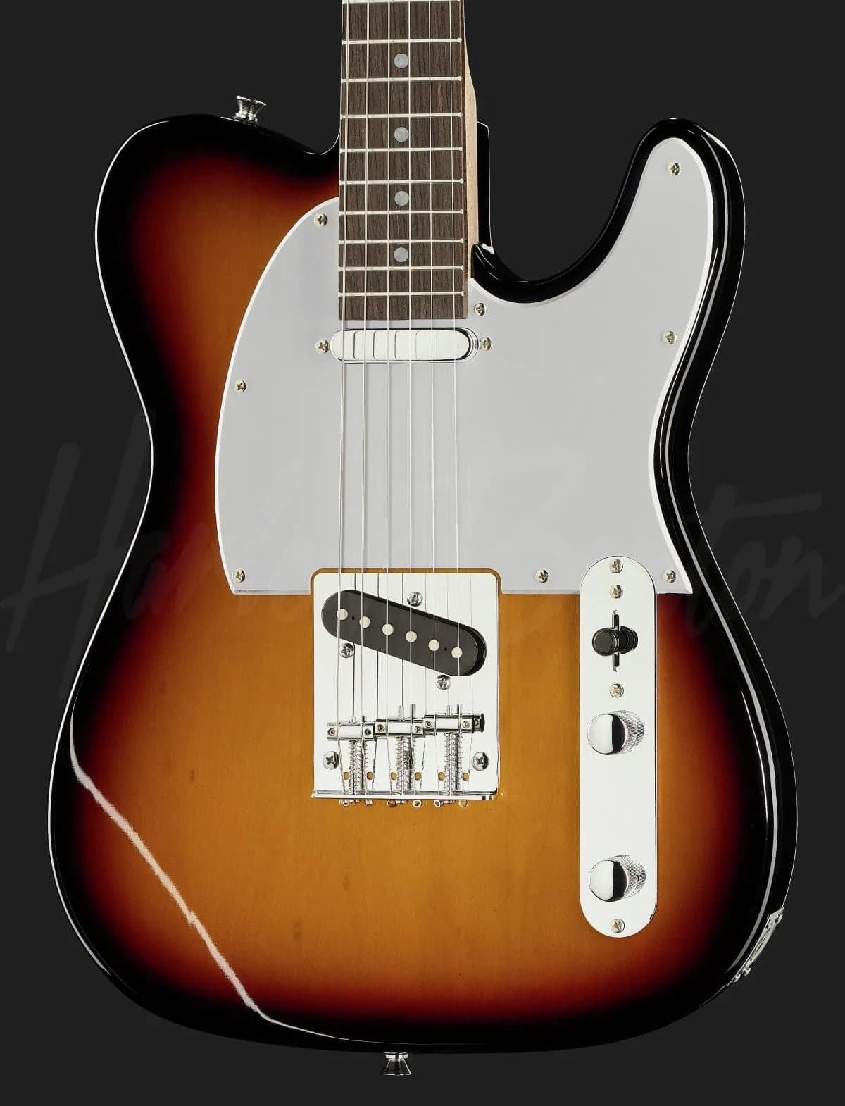 Harley Benton TE-20 SB — photo 4