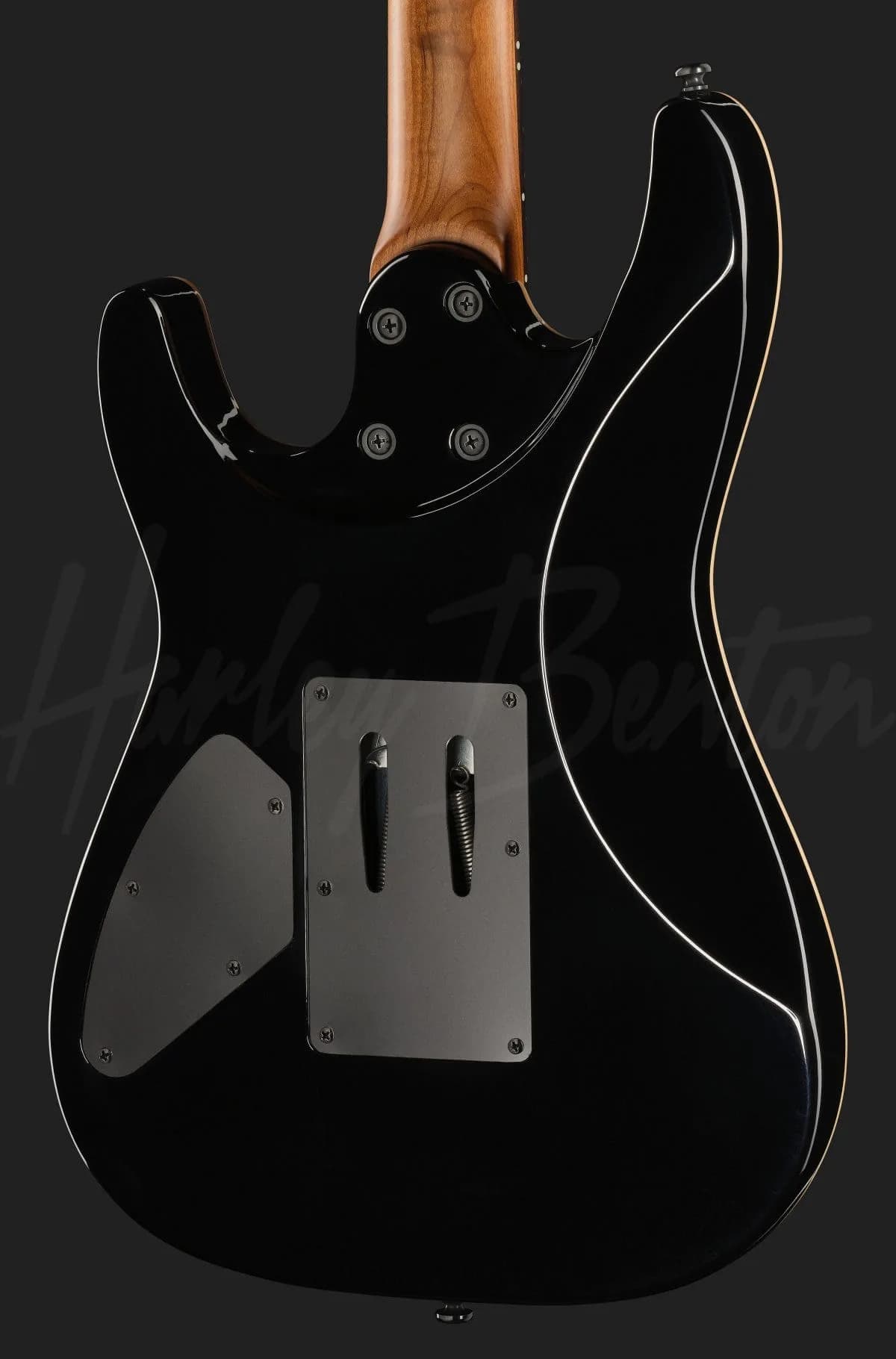 Harley Benton Fusion-IV HH RW FR BM — photo 5