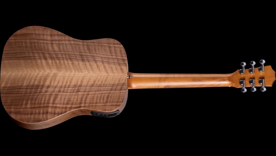Taylor BT1e — photo 2
