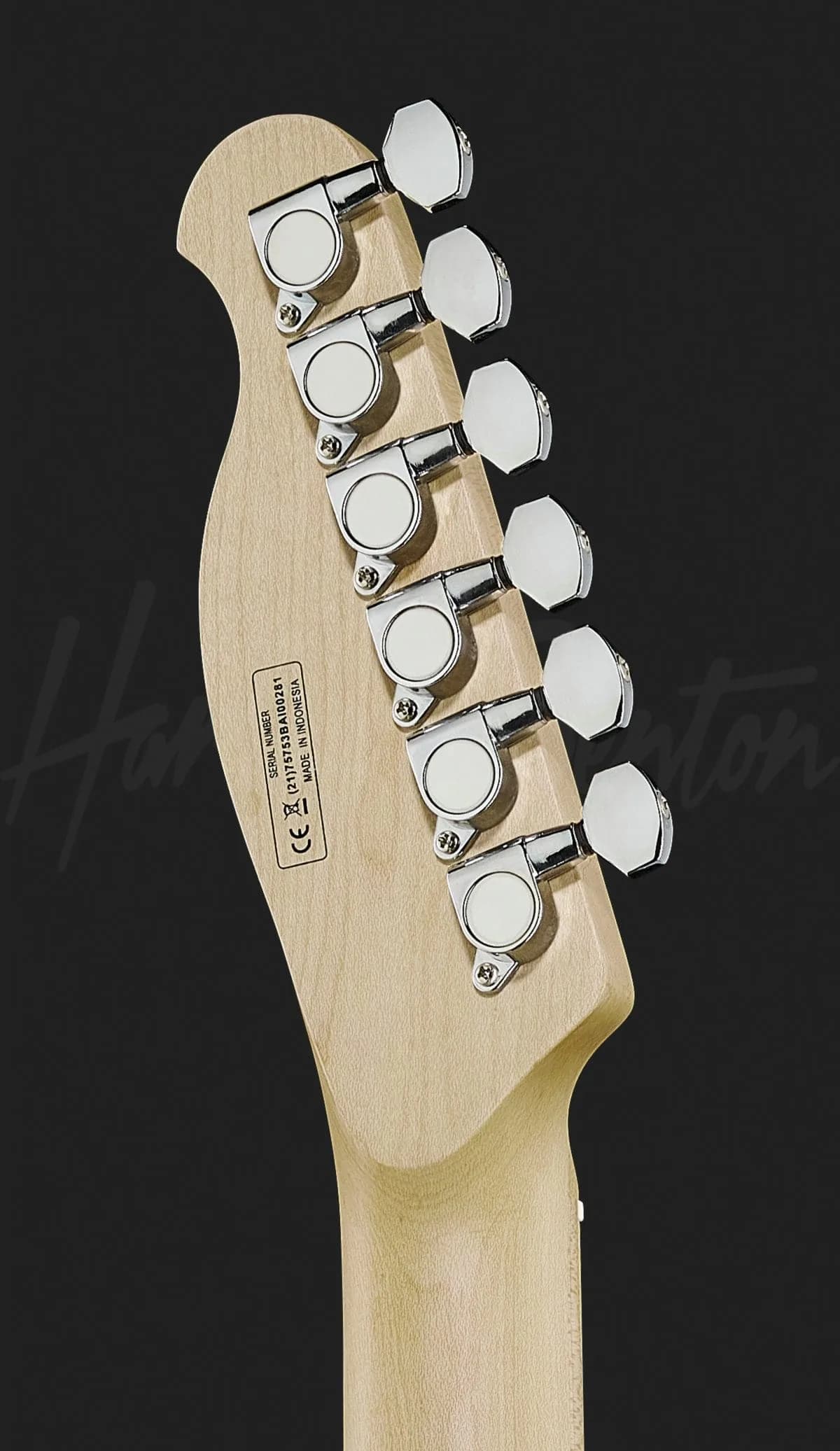 Harley Benton TE-90FLT LH WH — photo 7