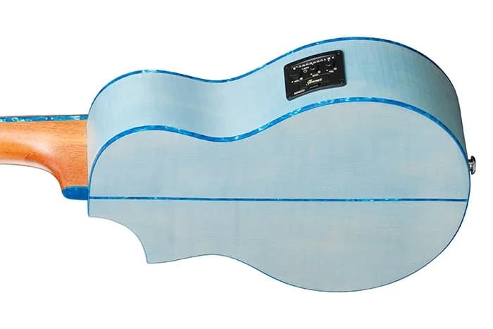 Ibanez EWP17M1E — photo 3