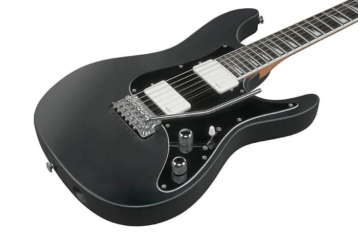 Ibanez BER10 — photo 2