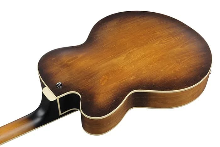 Ibanez AF55 — photo 3