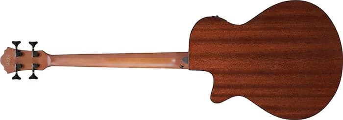 Ibanez AEGB24FE — photo 5