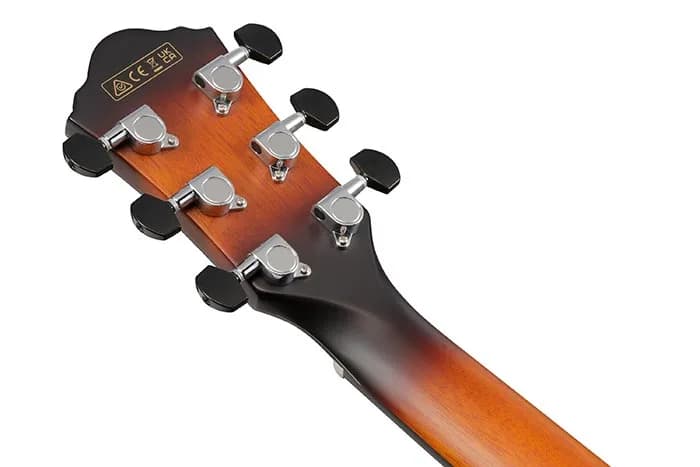 Ibanez AEWC400 — photo 4