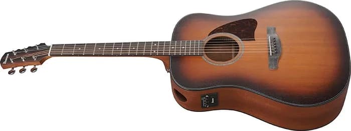 Ibanez AAD54E — photo 4