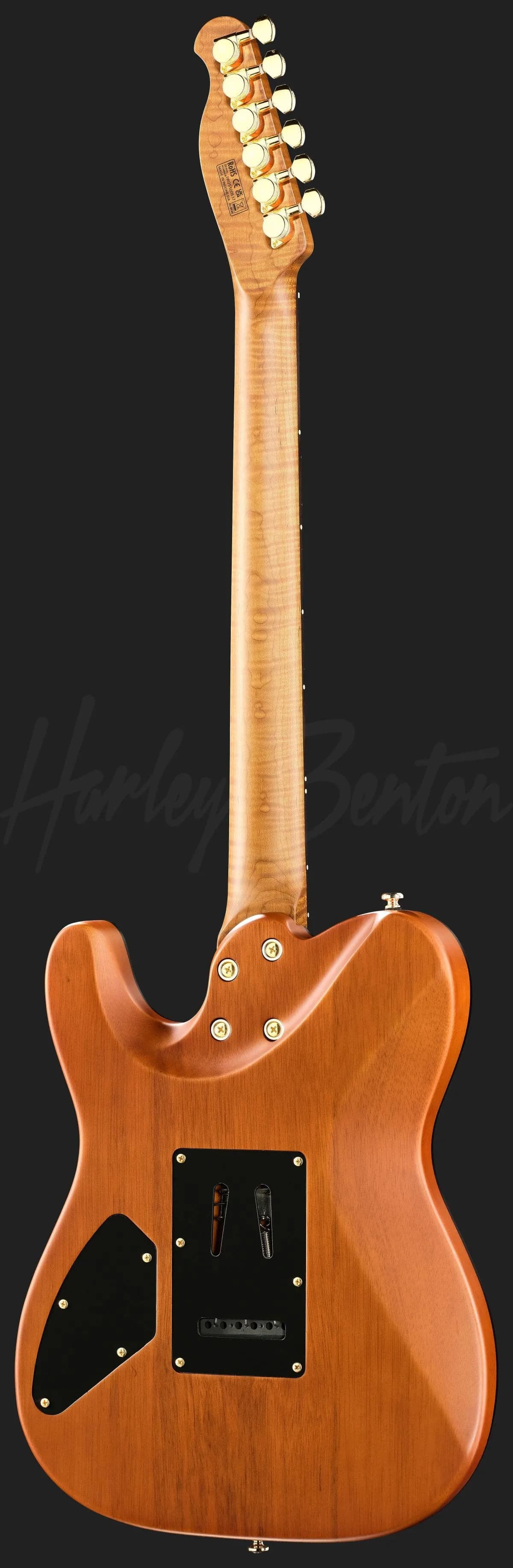 Harley Benton Fusion-T II HH RW SGD — photo 3