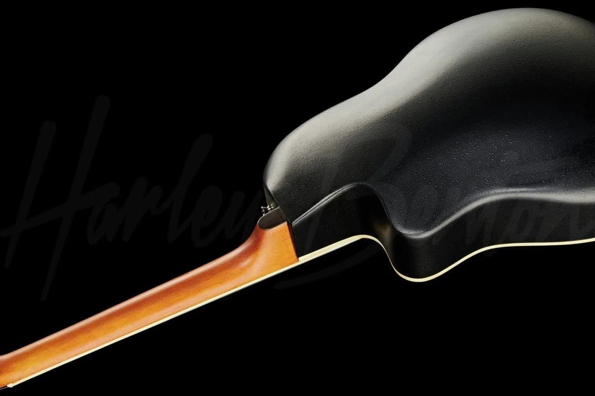 Harley Benton HBO-850NT — photo 8