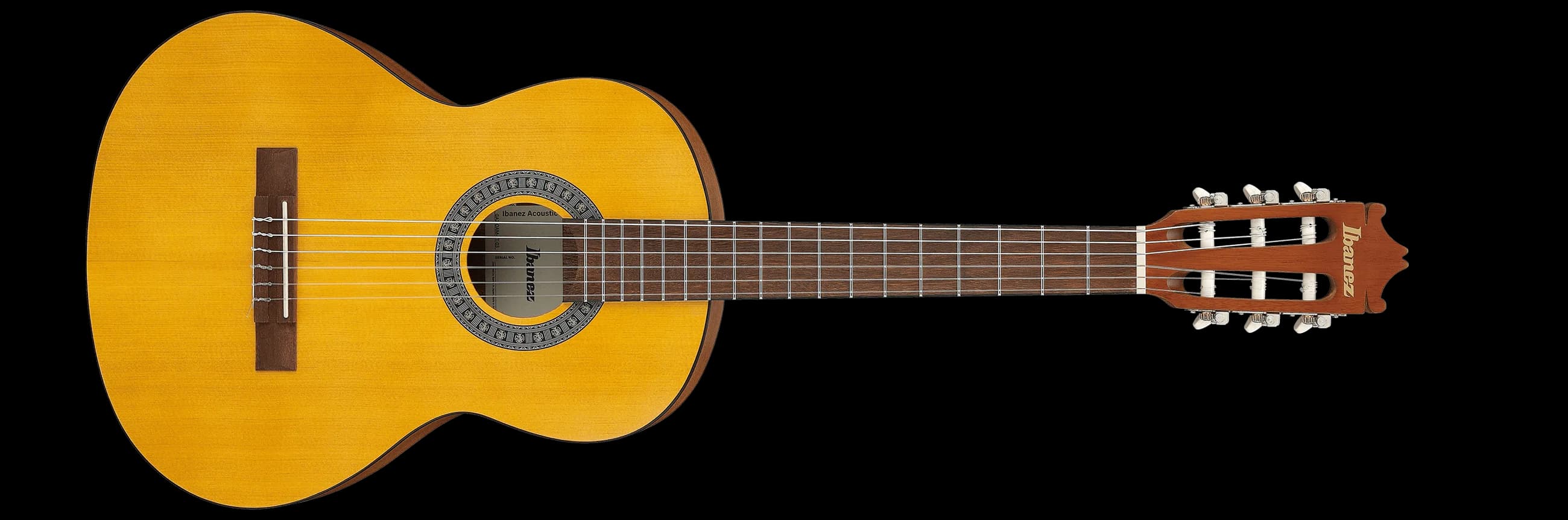 Ibanez GA2