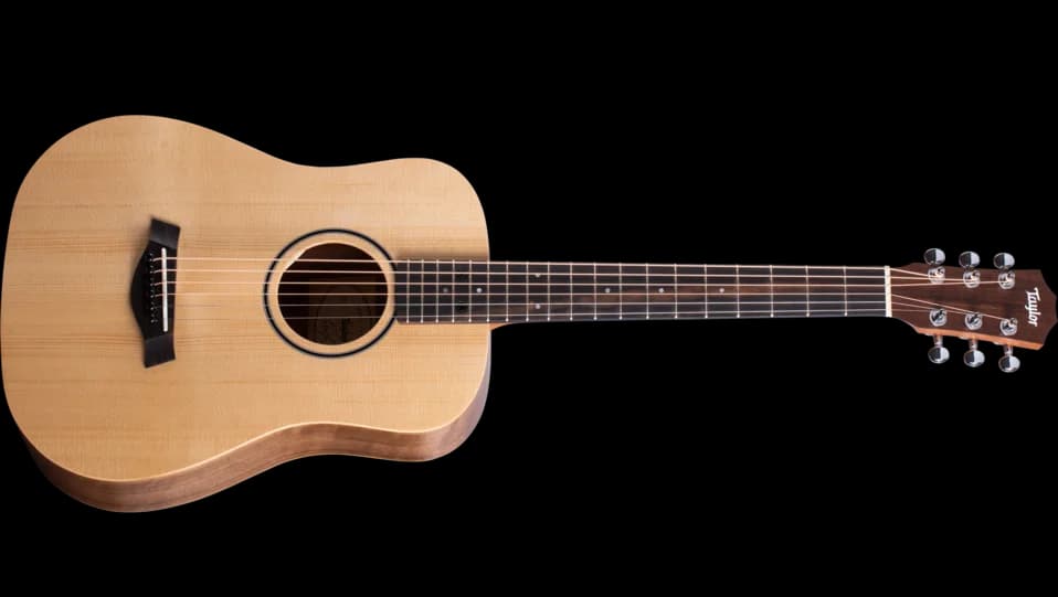 Taylor BT1e