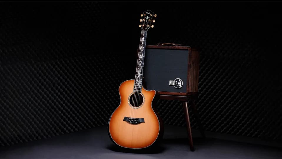 Taylor 50th Anniversary PS14ce LTD &amp; Circa 74 Amp — photo 4