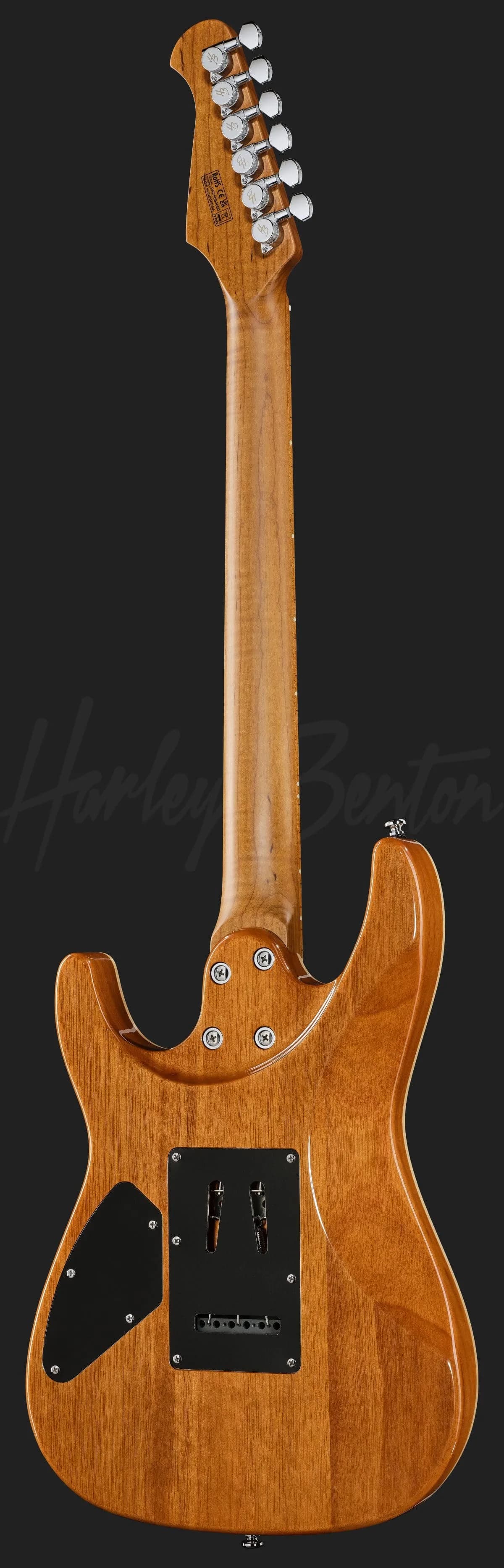 Harley Benton Fusion-IV HSS MN JM — photo 3