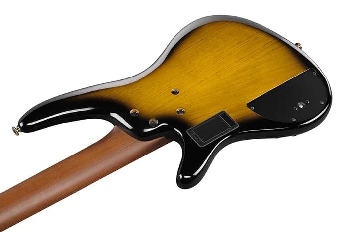 Ibanez SR4505 — photo 3