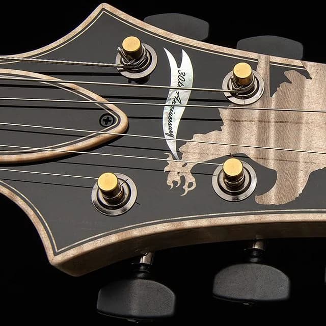 PRS Private Stock 30th Anniversary "Birds of a Feather" Hollowbody I