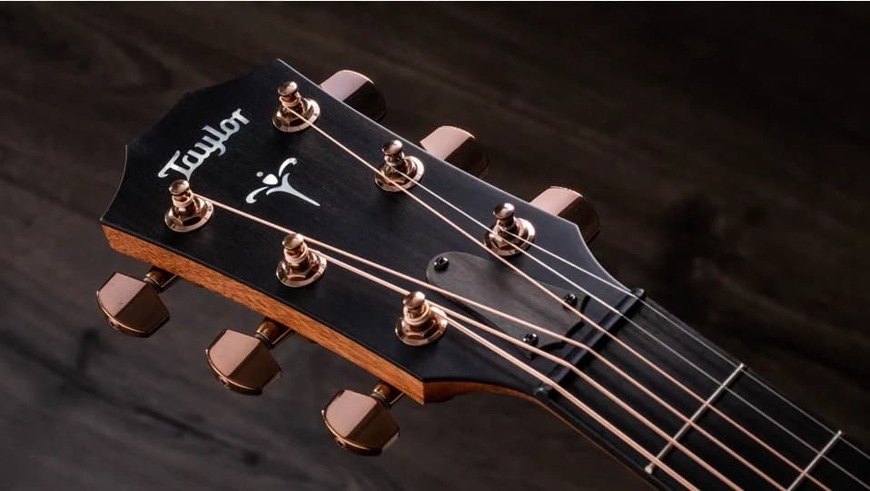 Taylor 722ce (2022) — photo 8