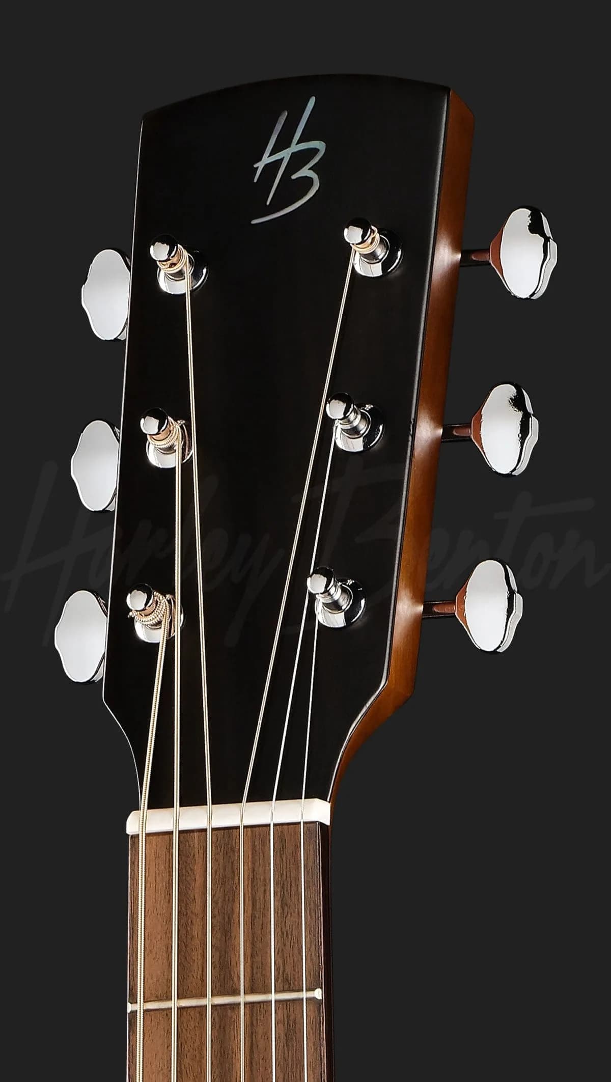 Harley Benton CLD-65AE NT — photo 5
