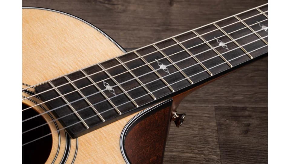 Taylor 312ce-N — photo 7