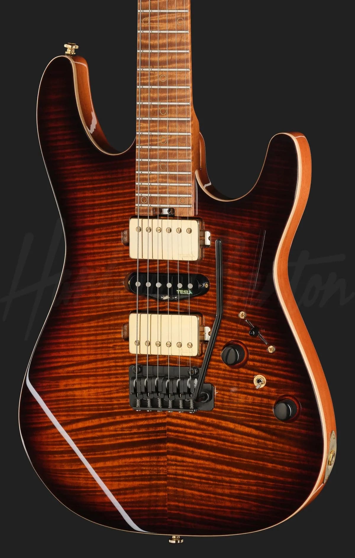 Harley Benton Fusion-IV HSH MN FBB — photo 4