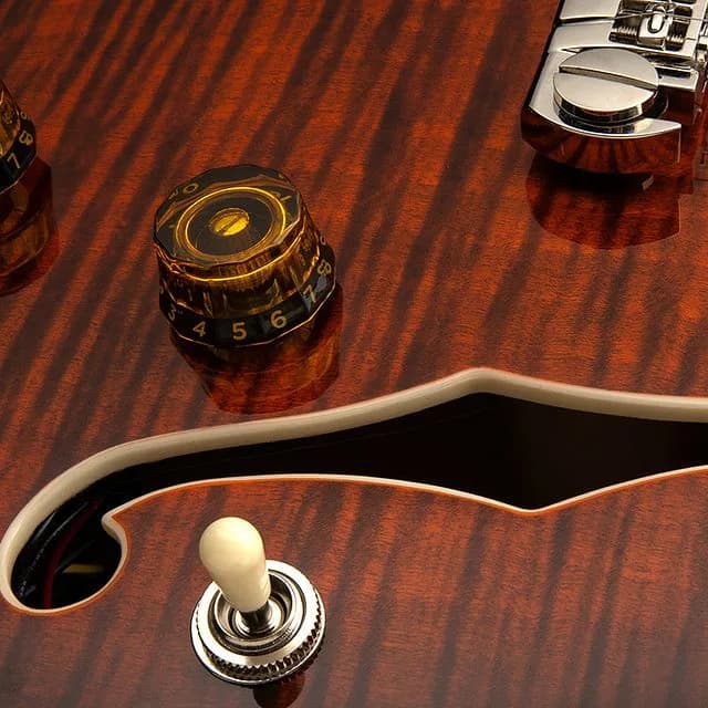 PRS SE Hollowbody II Piezo — photo 5