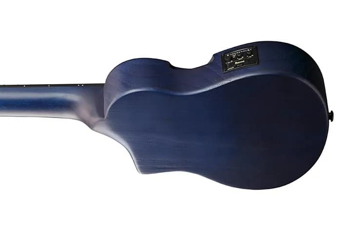 Ibanez AUP10FMNE — photo 3