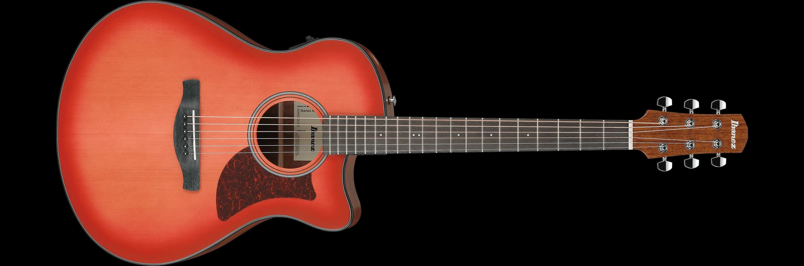Ibanez AAM50CE — photo 2