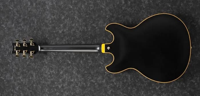 Ibanez JSM20 — photo 5