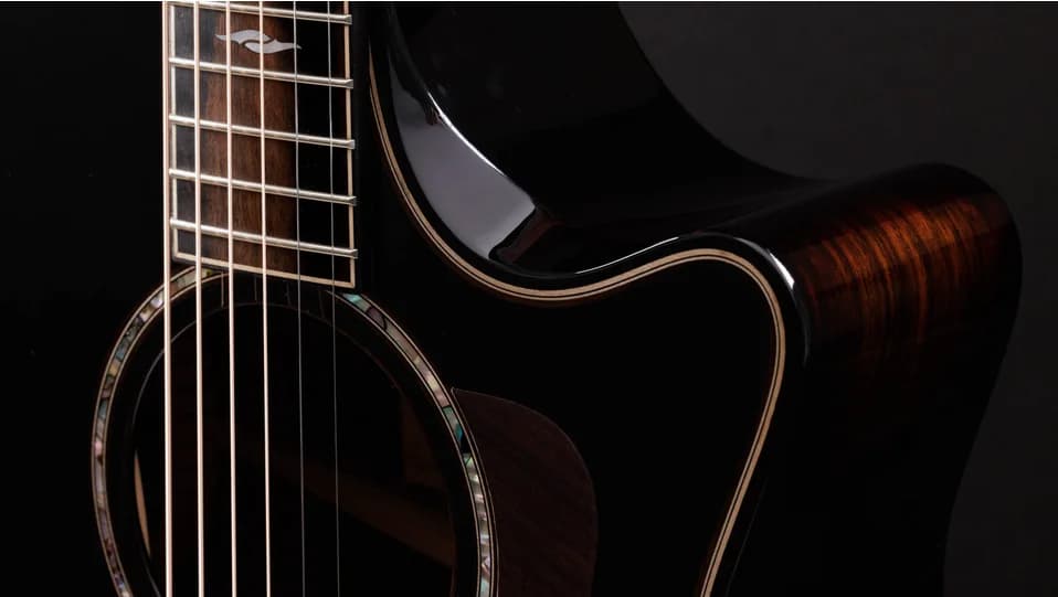 Taylor Builder's Edition 814ce Blacktop — photo 6